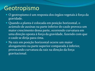 Geotropismo
 O geotropismo é um resposta dos órgãos vegetais à força da
gravidade.
 Quando a planta é colocada em posição horizontal, o
acúmulo de auxinas na parte inferior do caule provoca um
maior crescimento dessa parte, ocorrendo curvatura em
uma direção oposta à força da gravidade, fazendo com que
o caule se dirija para cima.
 Na raiz em posição horizontal ocorre um maior
alongamento na parte superior comparada à inferior,
provocando curvatura da raiz na direção da força
gravitacional.
 