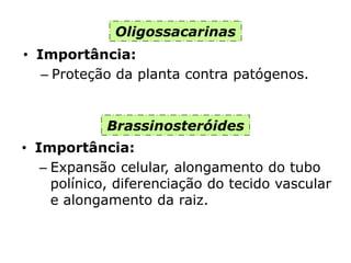 Oligossacarinas
• Importância:
– Proteção da planta contra patógenos.
Brassinosteróides
• Importância:
– Expansão celular, alongamento do tubo
polínico, diferenciação do tecido vascular
e alongamento da raiz.
 