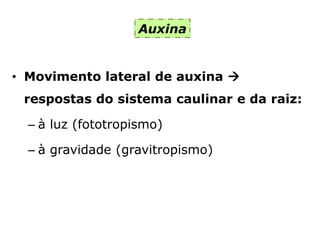 Auxina
• Movimento lateral de auxina 
respostas do sistema caulinar e da raiz:
– à luz (fototropismo)
– à gravidade (gravitropismo)
 