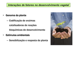 Interações de fatores no desenvolvimento vegetal
• Genoma da planta
– Codificação de enzimas
catalisadoras de reações
bioquímicas de desenvolvimento
• Estímulos ambientais
– Sensibilização e resposta da planta
 