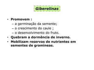 • Promovem :
– a germinação da semente;
– o crescimento do caule ;
– o desenvolvimento do fruto.
• Quebram a dormência de inverno.
• Mobilizam reservas de nutrientes em
sementes de gramíneas.
Giberelinas
 