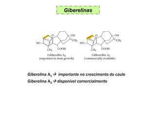 Giberelinas
Giberelina A1 importante no crescimento do caule
Giberelina A3 disponível comercialmente
 