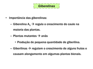 Giberelinas
• Importância das giberelinas:
– Giberelina A1  regula o crescimento do caule na
maioria das plantas.
– Plantas mutantes  anãs
• Produção de pequena quantidade de giberilina.
– Giberilinas  regulam o crescimento de alguns frutos e
causam alongamento em algumas plantas bienais.
 
