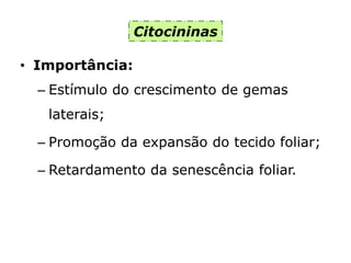 Citocininas
• Importância:
– Estímulo do crescimento de gemas
laterais;
– Promoção da expansão do tecido foliar;
– Retardamento da senescência foliar.
 