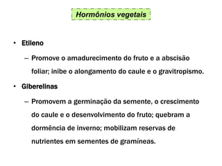 Hormônios vegetais
• Etileno
– Promove o amadurecimento do fruto e a abscisão
foliar; inibe o alongamento do caule e o gravitropismo.
• Giberelinas
– Promovem a germinação da semente, o crescimento
do caule e o desenvolvimento do fruto; quebram a
dormência de inverno; mobilizam reservas de
nutrientes em sementes de gramíneas.
 