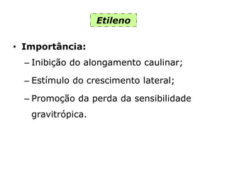 Etileno
• Importância:
– Inibição do alongamento caulinar;
– Estímulo do crescimento lateral;
– Promoção da perda da sensibilidade
gravitrópica.
 