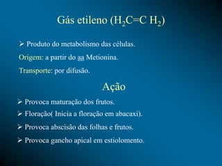 Gás etileno (H2C=C H2)
 Produto do metabolismo das células.
Origem: a partir do aa Metionina.
Transporte: por difusão.
Ação
 Provoca maturação dos frutos.
 Floração( Inicia a floração em abacaxi).
 Provoca abscisão das folhas e frutos.
 Provoca gancho apical em estiolomento.
 