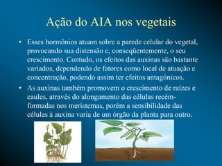 Ação do AIA nos vegetais
• Esses hormônios atuam sobre a parede celular do vegetal,
provocando sua distensão e, conseqüentemente, o seu
crescimento. Contudo, os efeitos das auxinas são bastante
variados, dependendo de fatores como local de atuação e
concentração, podendo assim ter efeitos antagônicos.
• As auxinas também promovem o crescimento de raízes e
caules, através do alongamento das células recém-
formadas nos meristemas, porém a sensibilidade das
células à auxina varia de um órgão da planta para outro.
 