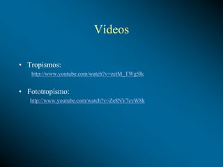 Vídeos
• Tropismos:
http://www.youtube.com/watch?v=zctM_TWg5Ik
• Fototropismo:
http://www.youtube.com/watch?v=Ze8NV7cvW8k
 