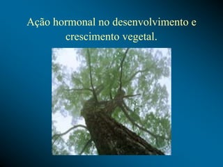 Ação hormonal no desenvolvimento e
crescimento vegetal.
 