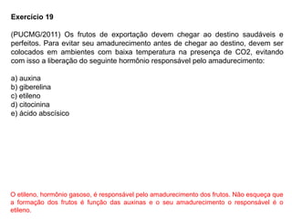 Exercício 19
(PUCMG/2011) Os frutos de exportação devem chegar ao destino saudáveis e
perfeitos. Para evitar seu amadurecimento antes de chegar ao destino, devem ser
colocados em ambientes com baixa temperatura na presença de CO2, evitando
com isso a liberação do seguinte hormônio responsável pelo amadurecimento:
a) auxina
b) giberelina
c) etileno
d) citocinina
e) ácido abscísico
O etileno, hormônio gasoso, é responsável pelo amadurecimento dos frutos. Não esqueça que
a formação dos frutos é função das auxinas e o seu amadurecimento o responsável é o
etileno.
 