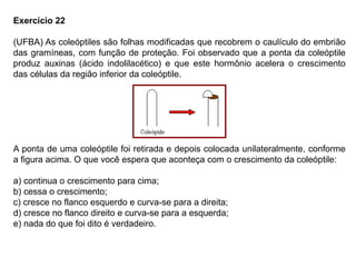 Exercício 22
(UFBA) As coleóptiles são folhas modificadas que recobrem o caulículo do embrião
das gramíneas, com função de proteção. Foi observado que a ponta da coleóptile
produz auxinas (ácido indolilacético) e que este hormônio acelera o crescimento
das células da região inferior da coleóptile.
A ponta de uma coleóptile foi retirada e depois colocada unilateralmente, conforme
a figura acima. O que você espera que aconteça com o crescimento da coleóptile:
a) continua o crescimento para cima;
b) cessa o crescimento;
c) cresce no flanco esquerdo e curva-se para a direita;
d) cresce no flanco direito e curva-se para a esquerda;
e) nada do que foi dito é verdadeiro.
 