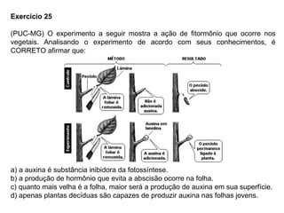 Exercício 25
(PUC-MG) O experimento a seguir mostra a ação de fitormônio que ocorre nos
vegetais. Analisando o experimento de acordo com seus conhecimentos, é
CORRETO afirmar que:
a) a auxina é substância inibidora da fotossíntese.
b) a produção de hormônio que evita a abscisão ocorre na folha.
c) quanto mais velha é a folha, maior será a produção de auxina em sua superfície.
d) apenas plantas decíduas são capazes de produzir auxina nas folhas jovens.
 