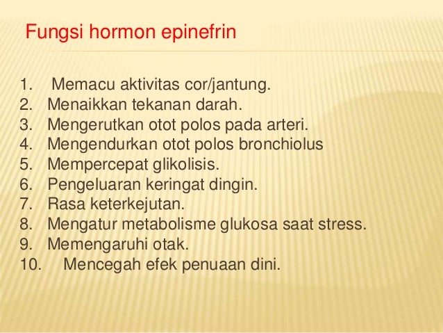 42++ Fungsi hormon adrenalin information