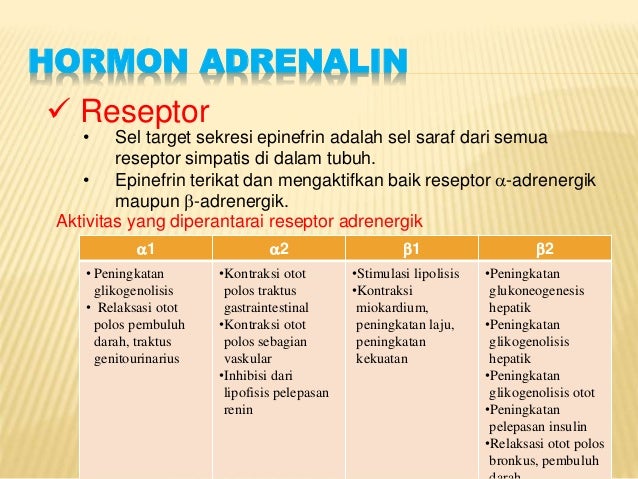Hormon kelenjar adrenalin