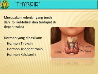 “THYROID”
Merupakan kelenjar yang terdiri
dari folikel-folikel dan terdapat di
depan trakea
Hormon yang dihasilkan:
 Hormon Tiroksin
 Hormon Triodontironin
 Hormon Kalsitonin
 