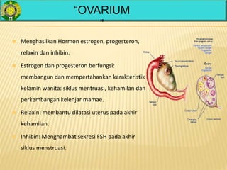  Menghasilkan Hormon estrogen, progesteron,
relaxin dan inhibin.
 Estrogen dan progesteron berfungsi:
membangun dan mempertahankan karakteristik
kelamin wanita: siklus mentruasi, kehamilan dan
perkembangan kelenjar mamae.
 Relaxin: membantu dilatasi uterus pada akhir
kehamilan.
 Inhibin: Menghambat sekresi FSH pada akhir
siklus menstruasi.
“OVARIUM
”
 