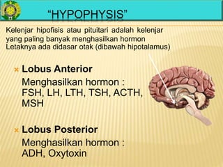  Lobus Anterior
Menghasilkan hormon :
FSH, LH, LTH, TSH, ACTH,
MSH
 Lobus Posterior
Menghasilkan hormon :
ADH, Oxytoxin
“HYPOPHYSIS”
Kelenjar hipofisis atau pituitari adalah kelenjar
yang paling banyak menghasilkan hormon
Letaknya ada didasar otak (dibawah hipotalamus)
 