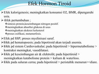 Fungsi hormon tiroid