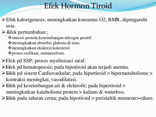 Hormon Tiroid
