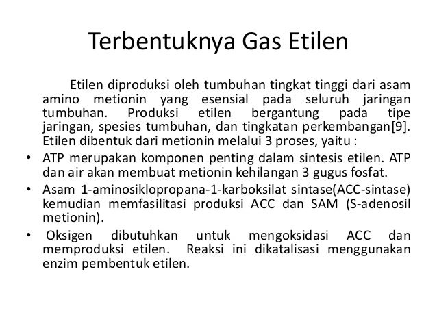 Hormon zat pengatur tumbuhan