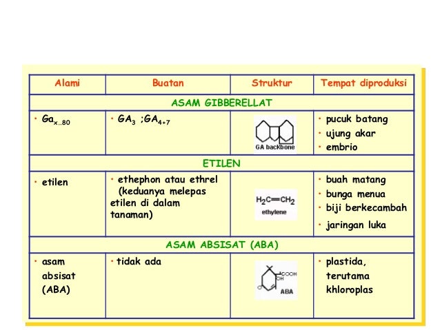 Hormon zat pengatur tumbuhan