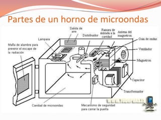 Horno de microondas