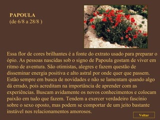 PAPOULA   (de 6/8 a 28/8 ) Essa flor de cores brilhantes é a fonte do extrato usado para preparar o ópio. As pessoas nascidas sob o signo de Papoula gostam de viver em ritmo de aventura. São otimistas, alegres e fazem questão de disseminar energia positiva e alto astral por onde quer que passem. Estão sempre em busca de novidades e não se lamentam quando algo dá errado, pois acreditam na importância de aprender com as experiências. Buscam avidamente os novos conhecimentos e colocam paixão em tudo que fazem. Tendem a exercer verdadeiro fascínio sobre o sexo oposto, mas podem se comportar de um jeito bastante instável nos relacionamentos amorosos. Voltar 