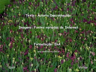 Texto: Autoria Desconhecida Formatação: EnA Sair Voltar [email_address] Imagens: Fontes variadas da Internet 