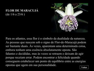 FLOR DE MARACUJÁ (de 1/6 a 23/6 ) Para os atlantes, essa flor é o símbolo da dualidade da natureza. As pessoas que nascem sob o signo de Flor-de-Maracujá podem ser bastante duais. Às vezes, aparentam uma determinada coisa, embora tenham uma essência absolutamente oposta. São falantes e decididas, mas às vezes se retraem e deixam de agir porque receiam errar. Podem encontrar a felicidade quando conseguem estabelecer um ponto de equilíbrio entre as energias opostas que agem em sua personalidade. Voltar 