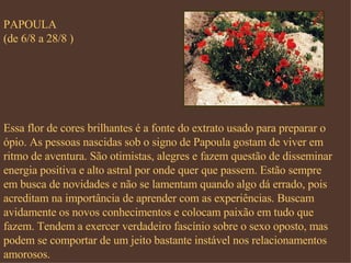 PAPOULA (de 6/8 a 28/8 ) Essa flor de cores brilhantes é a fonte do extrato usado para preparar o ópio. As pessoas nascidas sob o signo de Papoula gostam de viver em ritmo de aventura. São otimistas, alegres e fazem questão de disseminar energia positiva e alto astral por onde quer que passem. Estão sempre em busca de novidades e não se lamentam quando algo dá errado, pois acreditam na importância de aprender com as experiências. Buscam avidamente os novos conhecimentos e colocam paixão em tudo que fazem. Tendem a exercer verdadeiro fascínio sobre o sexo oposto, mas podem se comportar de um jeito bastante instável nos relacionamentos amorosos. 