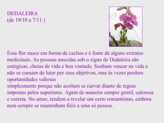 DEDALEIRA (de 19/10 a 7/11 ) Essa flor nasce em forma de cachos e é fonte de alguns extratos medicinais. As pessoas nascidas sob o signo de Dedaleira são enérgicas, cheias de vida e boa vontade. Sonham vencer na vida e não se cansam de lutar por seus objetivos, mas às vezes perdem oportunidades valiosas  simplesmente porque não aceitam se curvar diante de regras impostas pelos superiores. Agem de maneira sempre gentil, calorosa e correta. No amor, tendem a revelar um certo romantismo, embora nem sempre se mantenham fiéis a uma só pessoa. 