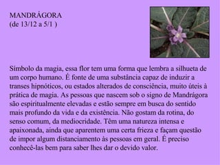 MANDRÁGORA (de 13/12 a 5/1 ) Símbolo da magia, essa flor tem uma forma que lembra a silhueta de um corpo humano. É fonte de uma substância capaz de induzir a transes hipnóticos, ou estados alterados de consciência, muito úteis à prática de magia. As pessoas que nascem sob o signo de Mandrágora são espiritualmente elevadas e estão sempre em busca do sentido mais profundo da vida e da existência. Não gostam da rotina, do senso comum, da mediocridade. Têm uma natureza intensa e apaixonada, ainda que aparentem uma certa frieza e façam questão de impor algum distanciamento às pessoas em geral. É preciso conhecê-las bem para saber lhes dar o devido valor. 
