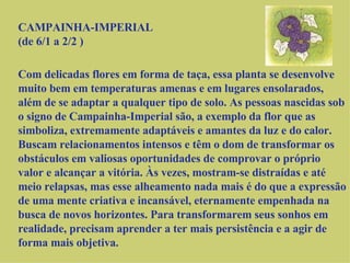 CAMPAINHA-IMPERIAL (de 6/1 a 2/2 ) Com delicadas flores em forma de taça, essa planta se desenvolve muito bem em temperaturas amenas e em lugares ensolarados, além de se adaptar a qualquer tipo de solo. As pessoas nascidas sob o signo de Campainha-Imperial são, a exemplo da flor que as simboliza, extremamente adaptáveis e amantes da luz e do calor. Buscam relacionamentos intensos e têm o dom de transformar os obstáculos em valiosas oportunidades de comprovar o próprio valor e alcançar a vitória. Às vezes, mostram-se distraídas e até meio relapsas, mas esse alheamento nada mais é do que a expressão de uma mente criativa e incansável, eternamente empenhada na busca de novos horizontes. Para transformarem seus sonhos em realidade, precisam aprender a ter mais persistência e a agir de forma mais objetiva. 