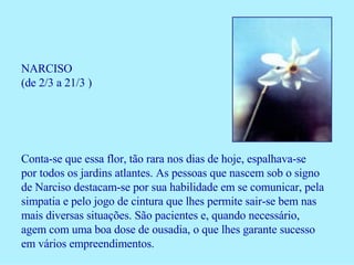 NARCISO (de 2/3 a 21/3 ) Conta-se que essa flor, tão rara nos dias de hoje, espalhava-se por todos os jardins atlantes. As pessoas que nascem sob o signo de Narciso destacam-se por sua habilidade em se comunicar, pela simpatia e pelo jogo de cintura que lhes permite sair-se bem nas mais diversas situações. São pacientes e, quando necessário, agem com uma boa dose de ousadia, o que lhes garante sucesso em vários empreendimentos. 