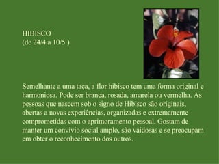 HIBISCO (de 24/4 a 10/5 ) Semelhante a uma taça, a flor hibisco tem uma forma original e harmoniosa. Pode ser branca, rosada, amarela ou vermelha. As pessoas que nascem sob o signo de Hibisco são originais, abertas a novas experiências, organizadas e extremamente comprometidas com o aprimoramento pessoal. Gostam de manter um convívio social amplo, são vaidosas e se preocupam em obter o reconhecimento dos outros. 