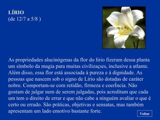 LÍRIO (de 12/7 a 5/8 ) As propriedades alucinógenas da flor do lírio fizeram dessa planta um símbolo da magia para muitas civilizações, inclusive a atlante. Além disso, essa flor está associada à pureza e à dignidade. As pessoas que nascem sob o signo de Lírio são dotadas de caráter nobre. Comportam-se com retidão, firmeza e coerência. Não gostam de julgar nem de serem julgadas, pois acreditam que cada um tem o direito de errar e que não cabe a ninguém avaliar o que é certo ou errado. São práticas, objetivas e sensatas, mas também apresentam um lado emotivo bastante forte. Voltar 
