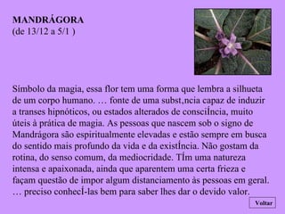 MANDRÁGORA (de 13/12 a 5/1 ) Símbolo da magia, essa flor tem uma forma que lembra a silhueta de um corpo humano. É fonte de uma substância capaz de induzir a transes hipnóticos, ou estados alterados de consciência, muito úteis à prática de magia. As pessoas que nascem sob o signo de Mandrágora são espiritualmente elevadas e estão sempre em busca do sentido mais profundo da vida e da existência. Não gostam da rotina, do senso comum, da mediocridade. Têm uma natureza intensa e apaixonada, ainda que aparentem uma certa frieza e façam questão de impor algum distanciamento às pessoas em geral. É preciso conhecê-las bem para saber lhes dar o devido valor. Voltar 