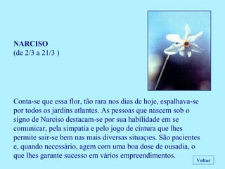 NARCISO (de 2/3 a 21/3 ) Conta-se que essa flor, tão rara nos dias de hoje, espalhava-se por todos os jardins atlantes. As pessoas que nascem sob o signo de Narciso destacam-se por sua habilidade em se comunicar, pela simpatia e pelo jogo de cintura que lhes permite sair-se bem nas mais diversas situações. São pacientes e, quando necessário, agem com uma boa dose de ousadia, o que lhes garante sucesso em vários empreendimentos. Voltar 