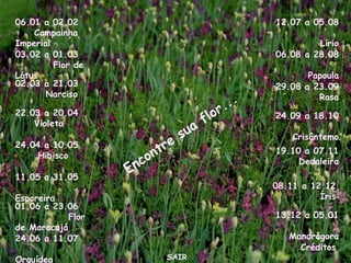 Encontre sua flor... 06.01 a 02.02  Campainha Imperial 03.02 a 01.03  Flor de Lótus 02.03 a 21.03  Narciso 22.03 a 20.04  Violeta 24.04 a 10.05  Hibisco 11.05 a 31.05  Esporeira 01.06 a 23.06  Flor de Maracujá 24.06 a 11.07  Orquídea 12.07 a 05.08  Lírio 06.08 a 28.08  Papoula 29.08 a 23.09  Rosa 24.09 a 18.10  Crisântemo 19.10 a 07.11  Dedaleira 08.11 a 12.12  Íris 13.12 a 05.01  Mandrágora Créditos SAIR 