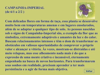 CAMPAINHA-IMPERIAL (de 6/1 a 2/2 ) Com delicadas flores em forma de taça, essa planta se desenvolve muito bem em temperaturas amenas e em lugares ensolarados, além de se adaptar a qualquer tipo de solo. As pessoas nascidas sob o signo de Campainha-Imperial são, a exemplo da flor que as simboliza, extremamente adaptáveis e amantes da luz e do calor. Buscam relacionamentos intensos e têm o dom de transformar os obstáculos em valiosas oportunidades de comprovar o próprio valor e alcançar a vitória. Às vezes, mostram-se distraídas e até meio relapsas, mas esse alheamento nada mais é do que a expressão de uma mente criativa e incansável, eternamente empenhada na busca de novos horizontes. Para transformarem seus sonhos em realidade, precisam aprender a ter mais persistência e a agir de forma mais objetiva. Voltar 