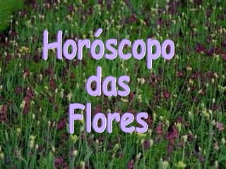Horóscopo das Flores 