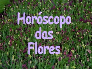 Horóscopo das Flores 
