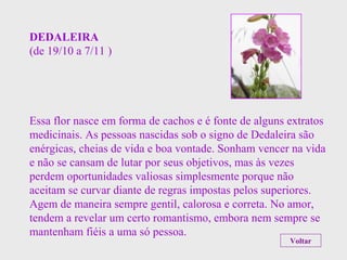 DEDALEIRA
(de 19/10 a 7/11 )
Essa flor nasce em forma de cachos e é fonte de alguns extratos
medicinais. As pessoas nascidas sob o signo de Dedaleira são
enérgicas, cheias de vida e boa vontade. Sonham vencer na vida
e não se cansam de lutar por seus objetivos, mas às vezes
perdem oportunidades valiosas simplesmente porque não
aceitam se curvar diante de regras impostas pelos superiores.
Agem de maneira sempre gentil, calorosa e correta. No amor,
tendem a revelar um certo romantismo, embora nem sempre se
mantenham fiéis a uma só pessoa.
Voltar
 