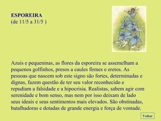 ESPOREIRA
(de 11/5 a 31/5 )
Azuis e pequeninas, as flores da esporeira se assemelham a
pequenos golfinhos, presos a caules firmes e eretos. As
pessoas que nascem sob este signo são fortes, determinadas e
dignas, fazem questão de ter seu valor reconhecido e
repudiam a falsidade e a hipocrisia. Realistas, sabem agir com
serenidade e bom senso, mas nem por isso deixam de lado
seus ideais e seus sentimentos mais elevados. São obstinadas,
batalhadoras e dotadas de grande energia e força de vontade.
Voltar
 