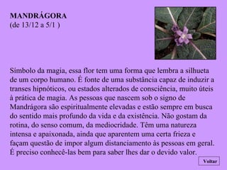 MANDRÁGORA (de 13/12 a 5/1 ) Símbolo da magia, essa flor tem uma forma que lembra a silhueta de um corpo humano. É fonte de uma substância capaz de induzir a transes hipnóticos, ou estados alterados de consciência, muito úteis à prática de magia. As pessoas que nascem sob o signo de Mandrágora são espiritualmente elevadas e estão sempre em busca do sentido mais profundo da vida e da existência. Não gostam da rotina, do senso comum, da mediocridade. Têm uma natureza intensa e apaixonada, ainda que aparentem uma certa frieza e façam questão de impor algum distanciamento às pessoas em geral. É preciso conhecê-las bem para saber lhes dar o devido valor. Voltar 