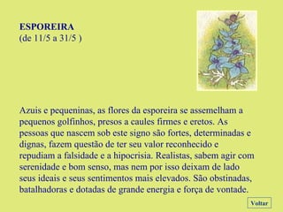 ESPOREIRA (de 11/5 a 31/5 ) Azuis e pequeninas, as flores da esporeira se assemelham a pequenos golfinhos, presos a caules firmes e eretos. As pessoas que nascem sob este signo são fortes, determinadas e dignas, fazem questão de ter seu valor reconhecido e repudiam a falsidade e a hipocrisia. Realistas, sabem agir com serenidade e bom senso, mas nem por isso deixam de lado seus ideais e seus sentimentos mais elevados. São obstinadas, batalhadoras e dotadas de grande energia e força de vontade. Voltar 
