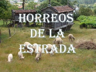 HORREOS  DE LA ESTRADA 
