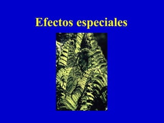 Efectos especiales 
