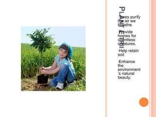 Plant e triiTrees purify the air we breathe.  